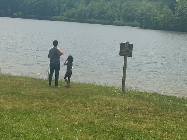 Lums Pond State Park grounds