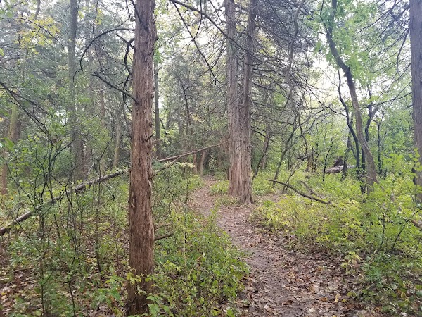 Luther Hormel Memorial Park (City of Fremont) grounds