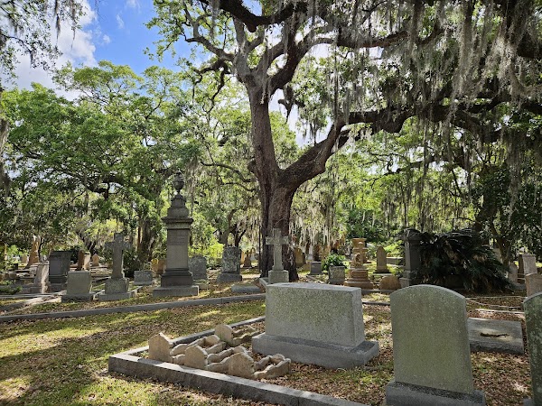 Magnolia Cemetery Trust grounds
