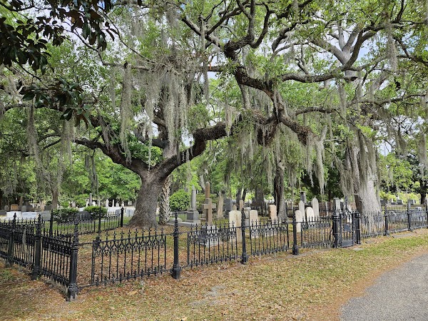 Magnolia Cemetery Trust grounds