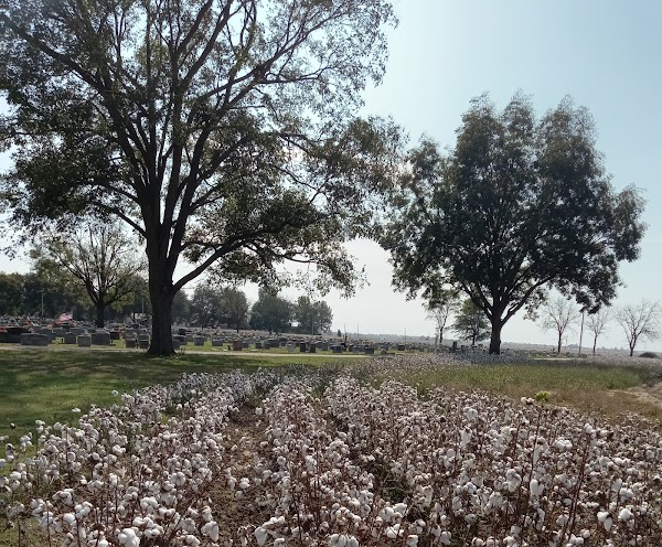 Manila Cemetery grounds