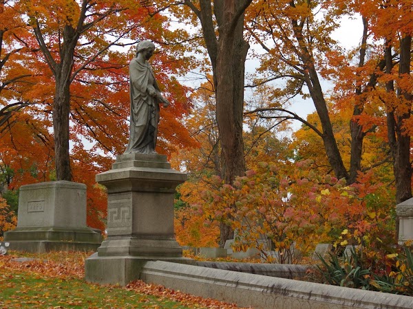 Mansfield Cemetery grounds