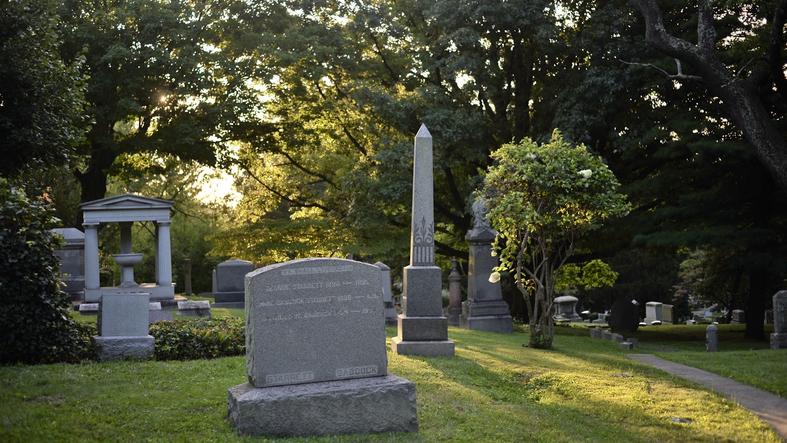 Maple Grove Cemetery cemetery grounds and headstones
