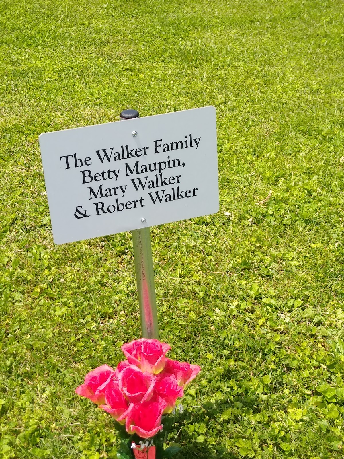 Maple Grove Cemetery cemetery grounds and headstones