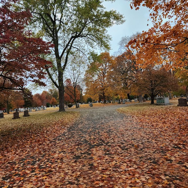 Maple Park Cemetery grounds