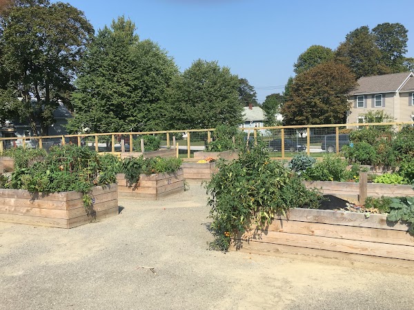 Maple Street Park grounds