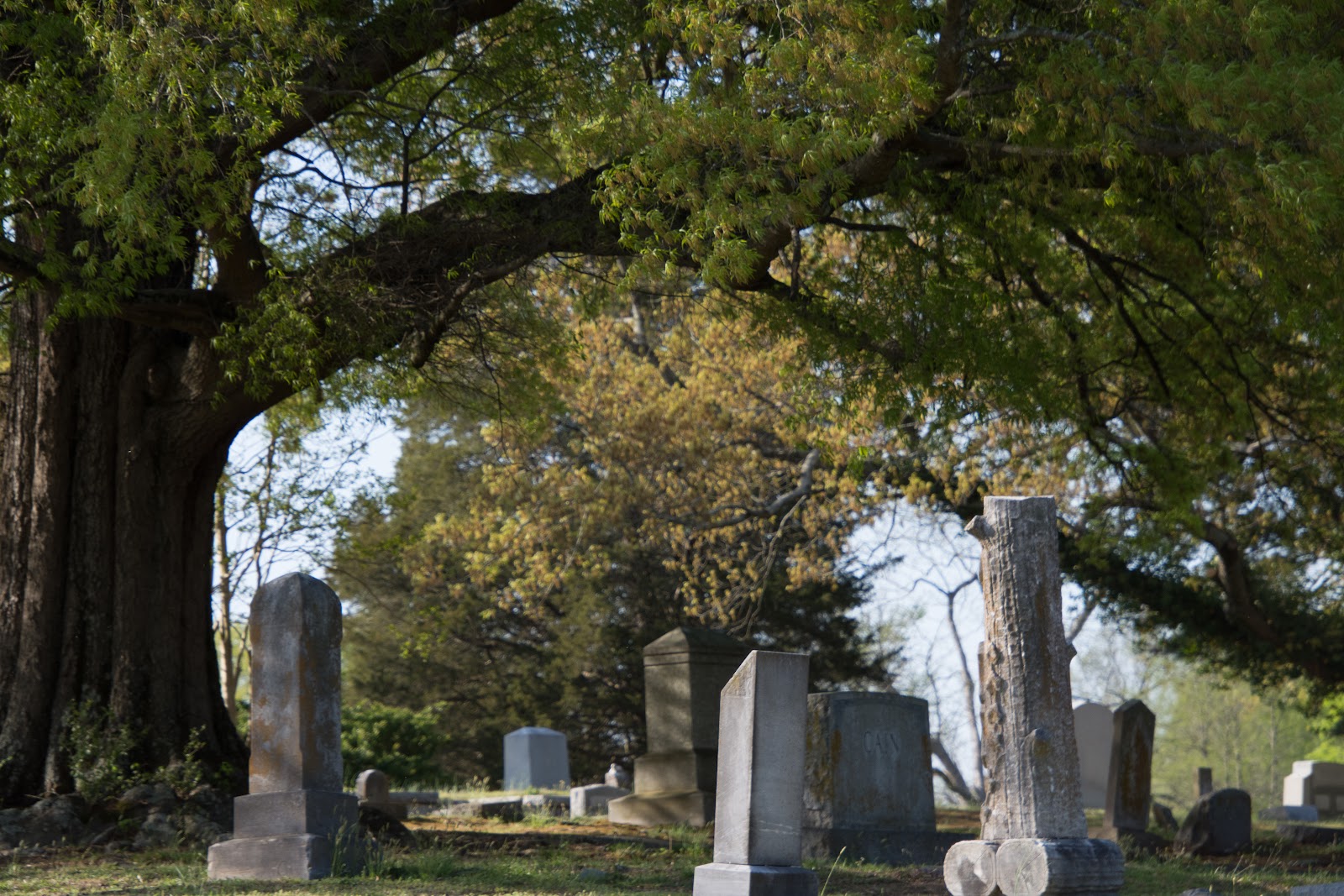 Maplewood Cemetery cemetery grounds and headstones