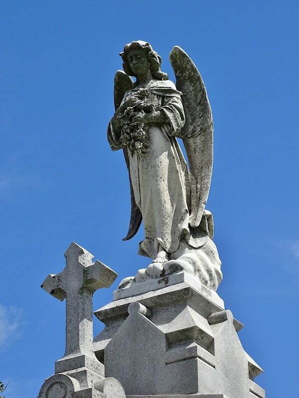 Maplewood Cemetery grounds