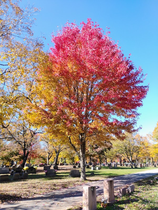 Maplewood Cemetery grounds