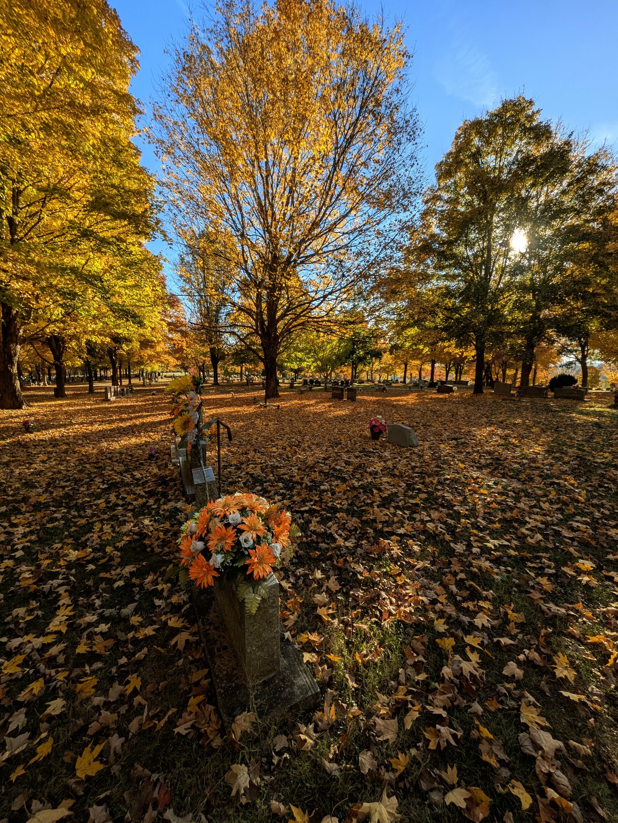 Maplewood Cemetery headstone and grounds