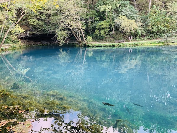 Maramec Spring Park grounds