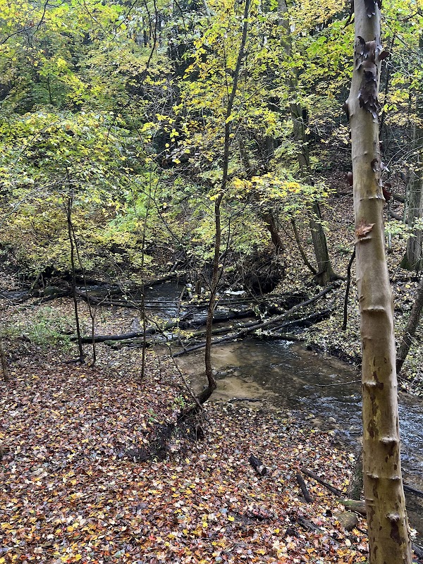 Marshall Memorial Park grounds