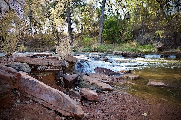 Martin Park Nature Center grounds