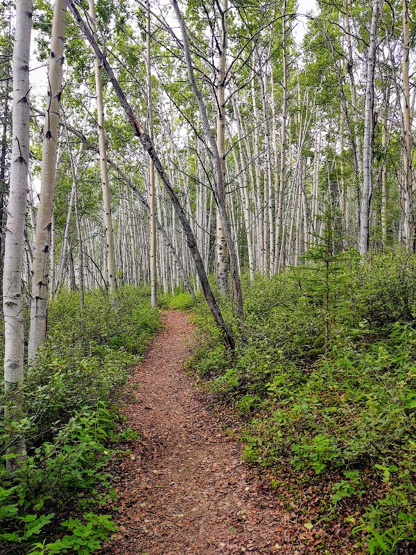 Matanuska Glacier State Recreation Site grounds