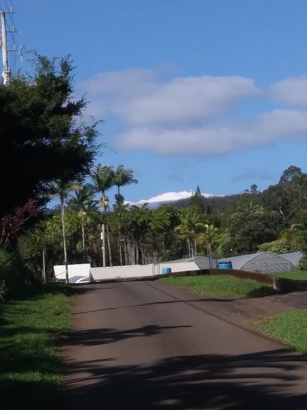 Mauna Kea Memorial Park grounds