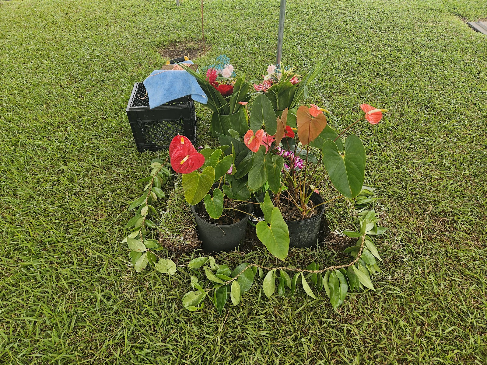 Mauna Kea Memorial Park cemetery grounds and headstones