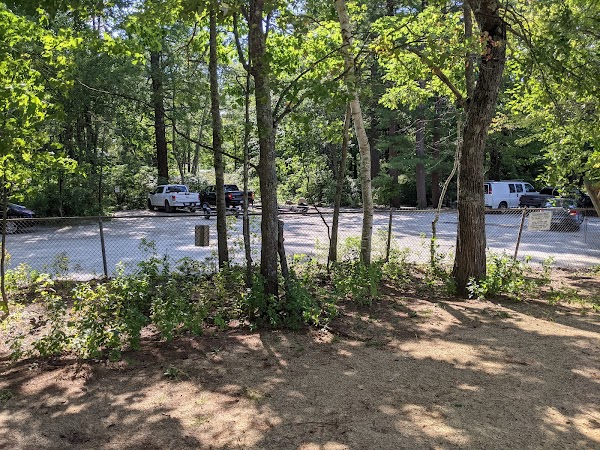 Max Cohen Memorial Grove grounds