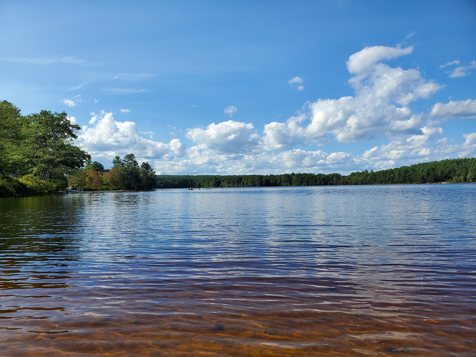 Max Cohen Memorial Grove cemetery grounds and headstones
