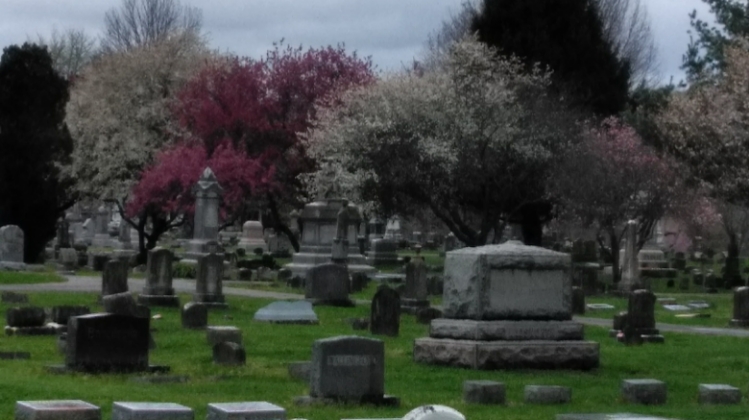 Maysville/Mason County Cemetery