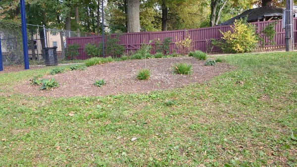 McClanahan Food Forest-Calvin Memorial Park grounds