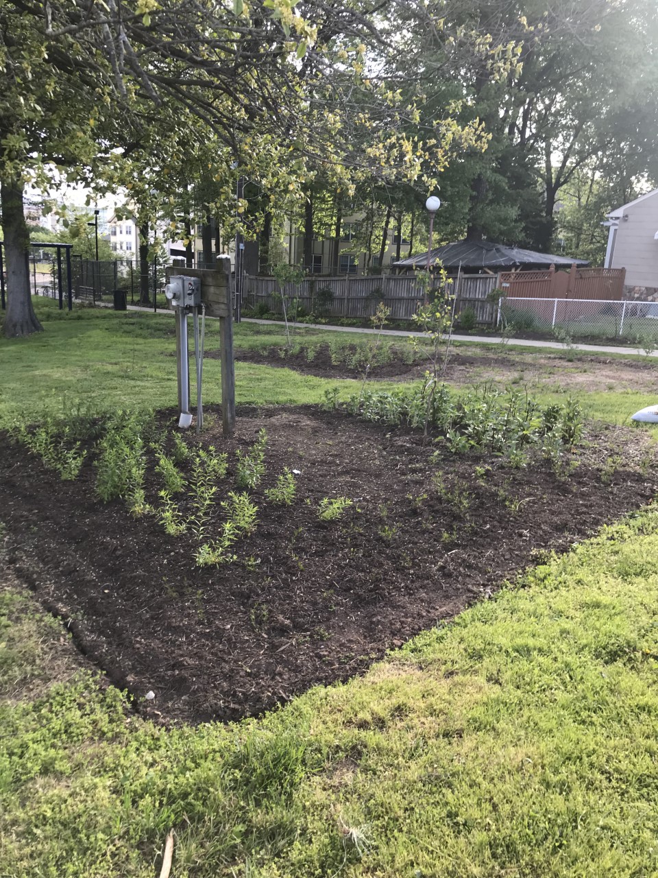 McClanahan Food Forest-Calvin Memorial Park