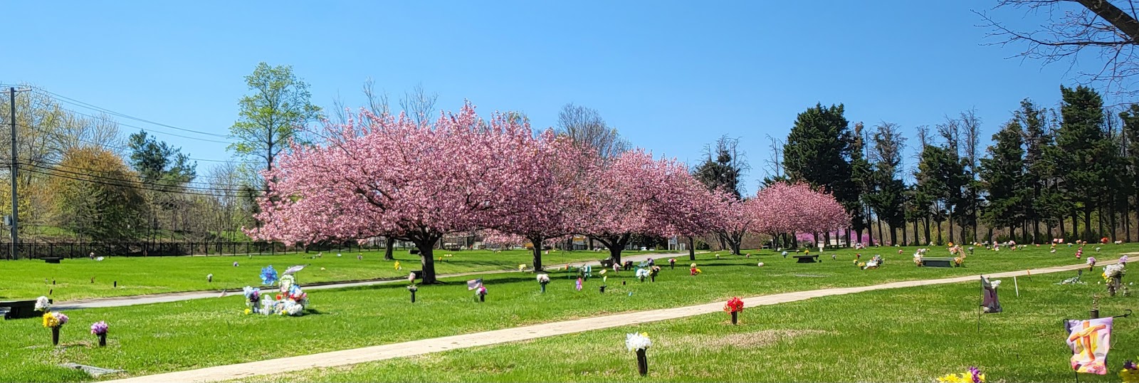 Meadowridge Memorial Park cemetery grounds and headstones