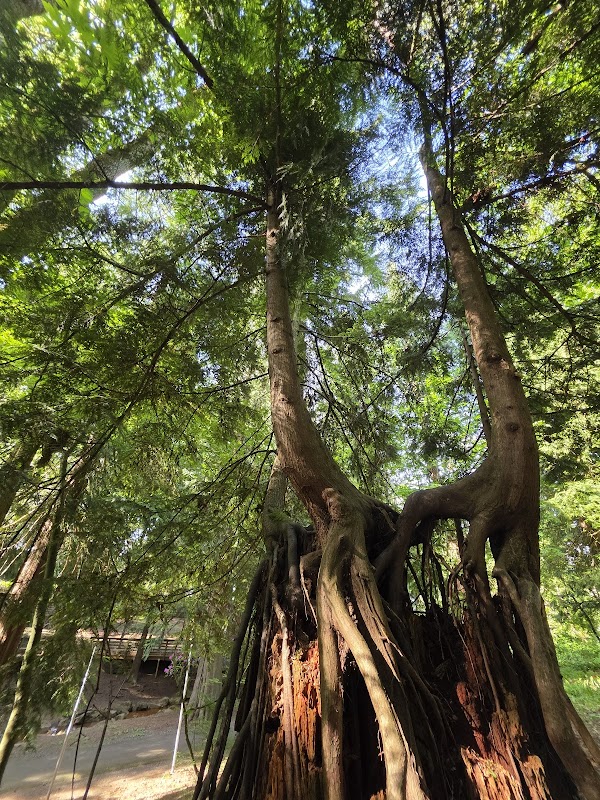 Meinig Memorial Park grounds