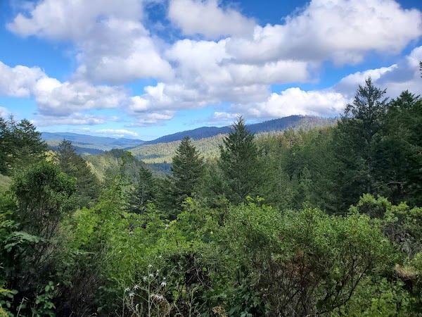 Memorial County Park grounds