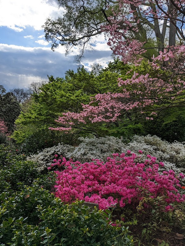 Memorial Garden grounds
