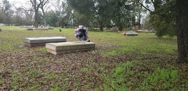 Memorial Park grounds