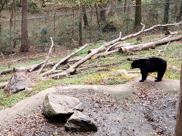 Memorial Park grounds