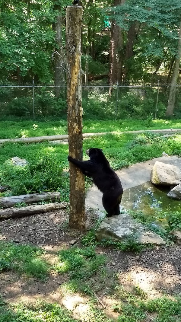 Memorial Park grounds