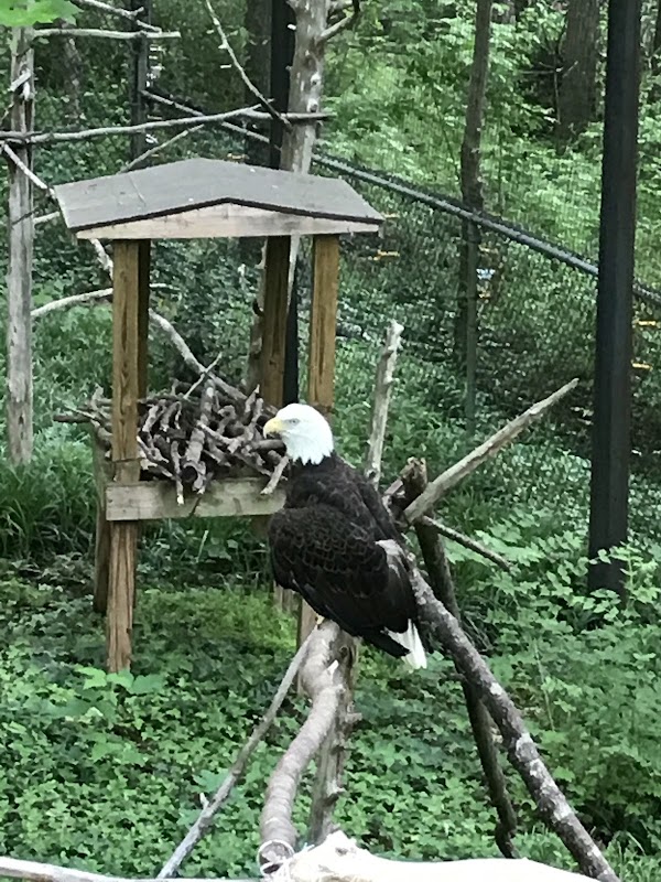 Memorial Park grounds