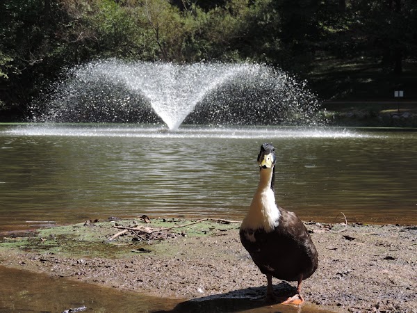 Memorial Park grounds
