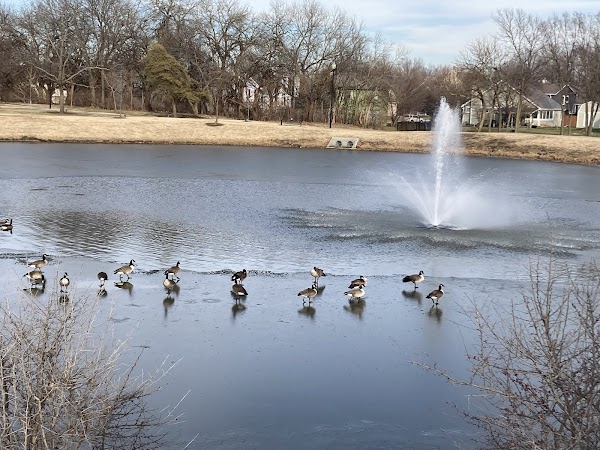 Memorial Park grounds
