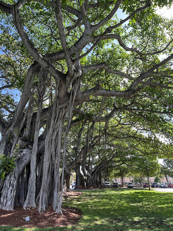 Memorial Park grounds