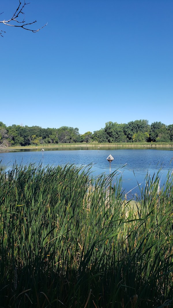 Memorial Park Camping Area grounds
