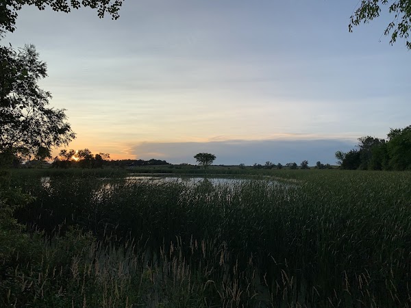 Memorial Park Camping Area grounds