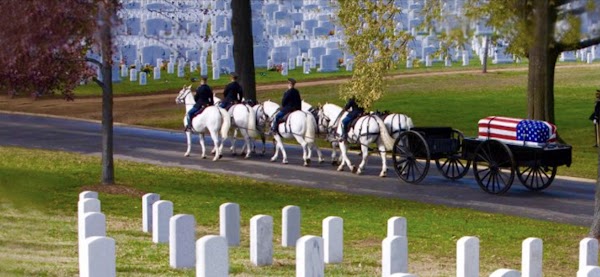 Memorial Park Cemetery, Crematory & Funeral Home grounds