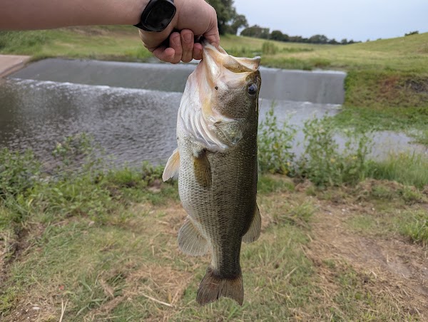 Memorial Park Cemetery grounds