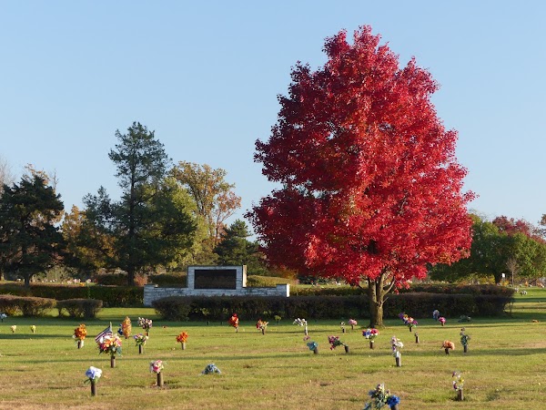 Memorial Park Cemetery grounds