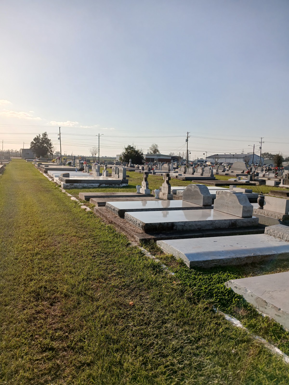 Memorial Park Cemetery cemetery grounds and headstones