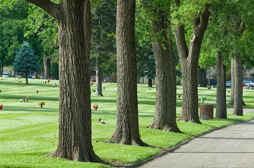 Memorial Park Cemetery grounds