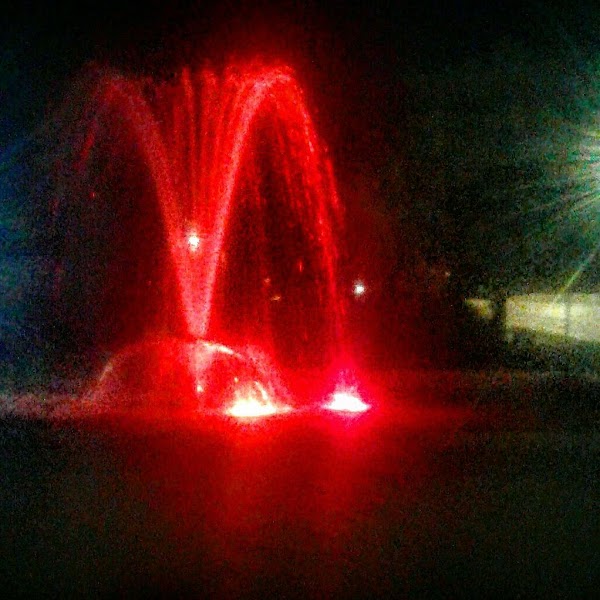 Memorial Park grounds