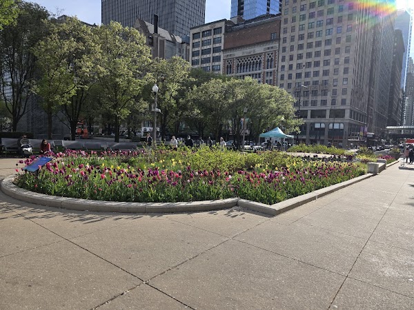 Memorial Park grounds