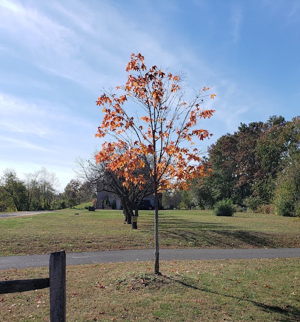 Memorial Park grounds