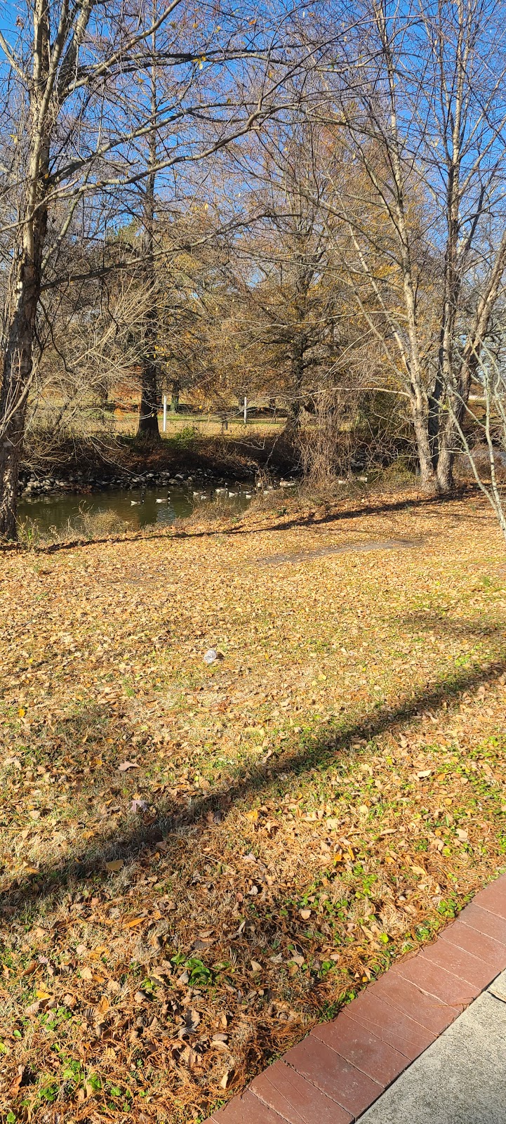 Memorial Park cemetery grounds and headstones