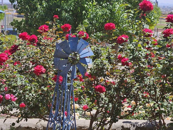 Memorial Park grounds