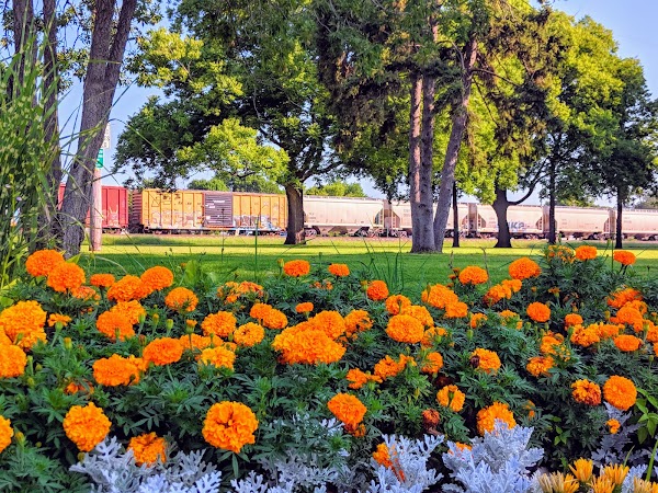 Memorial Park grounds