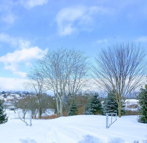 Memorial Park grounds
